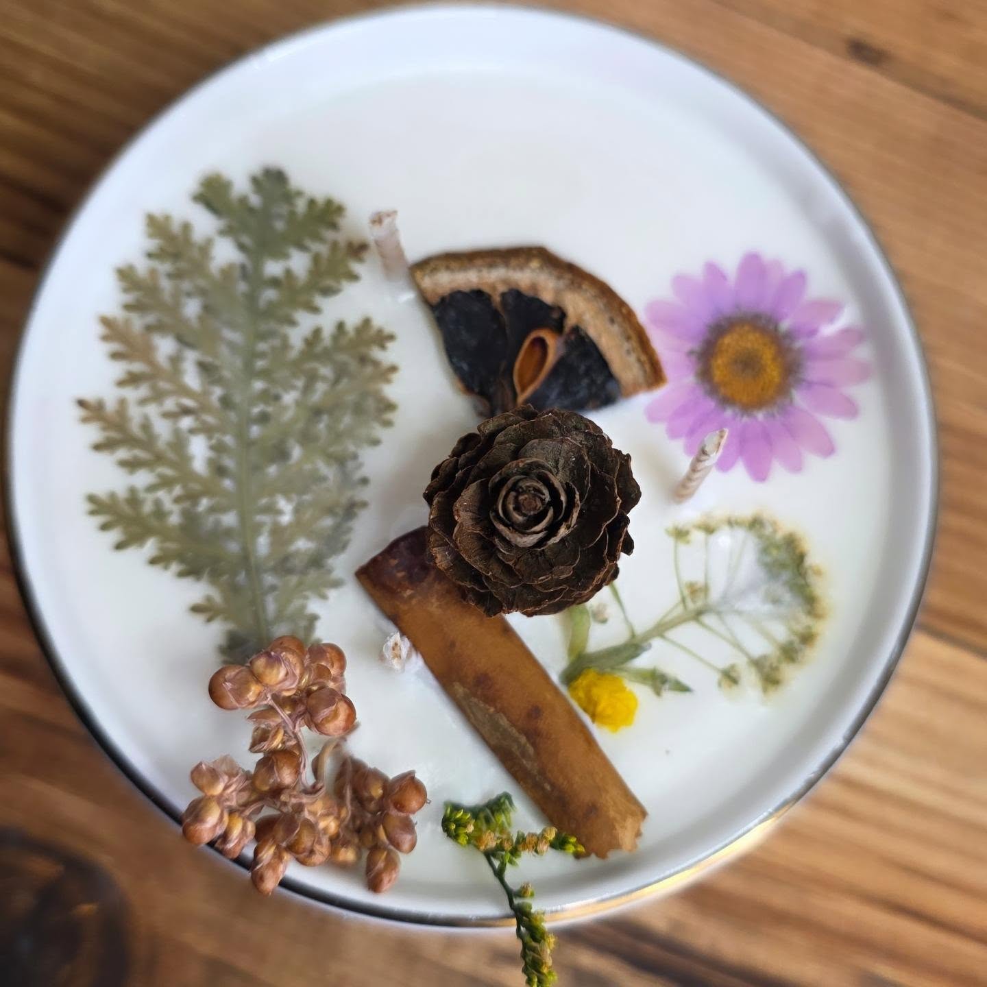 Herbier d’automne — Fougère, fleurs séchées, pomme de pin, cannelle… (2)