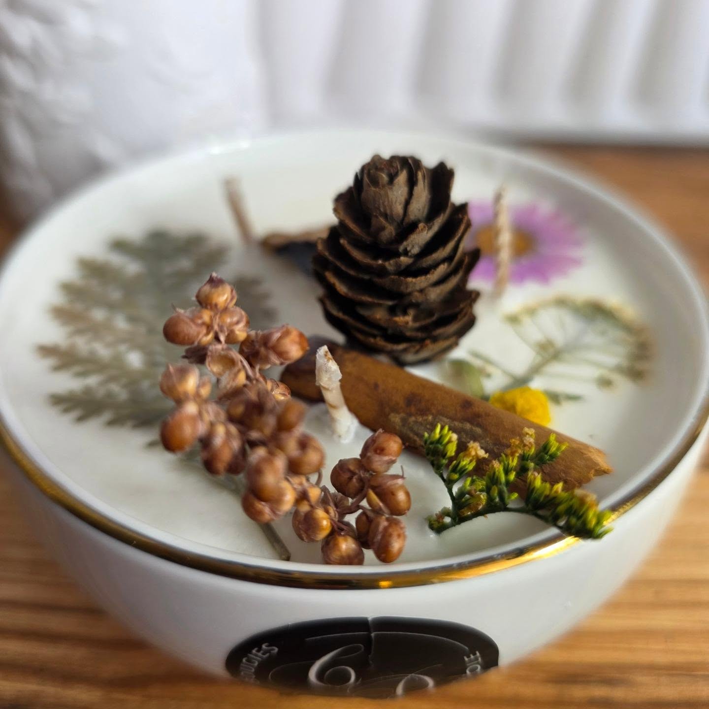 Herbier d’automne — Fougère, fleurs séchées, pomme de pin, cannelle… (3)