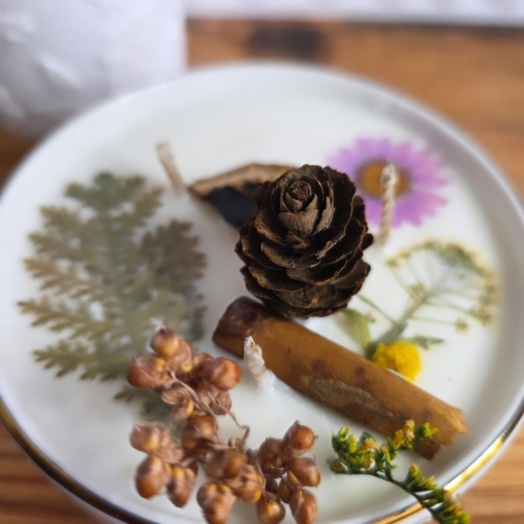 Herbier d’automne — Fougère, fleurs séchées, pomme de pin, cannelle…